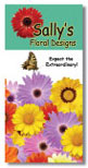 Full-Color Brochures